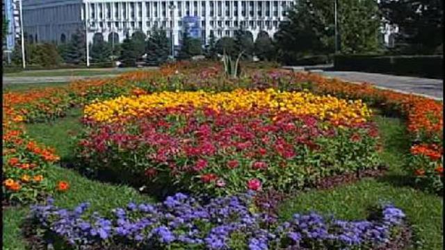 Алма-Ата смотреть онлайн
