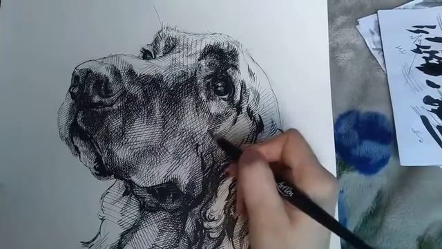 Рисунок собаки смотреть онлайн