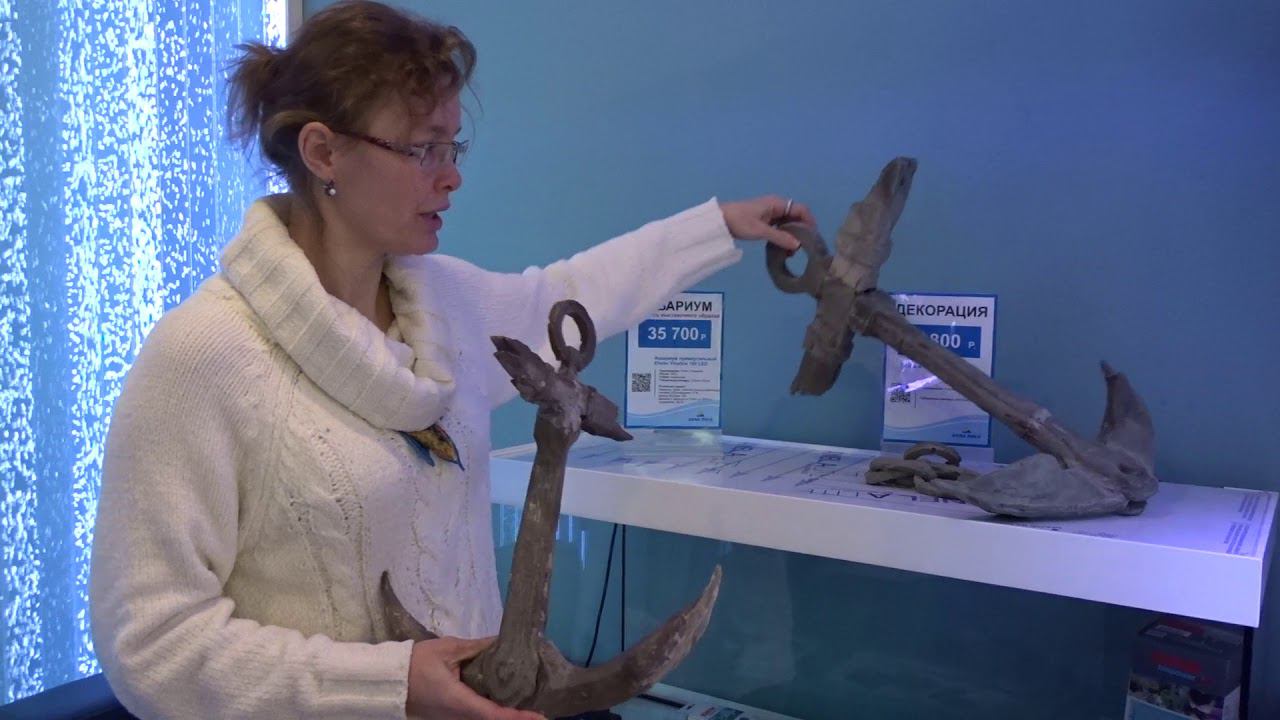 #Декорации из стадонта смотреть онлайн