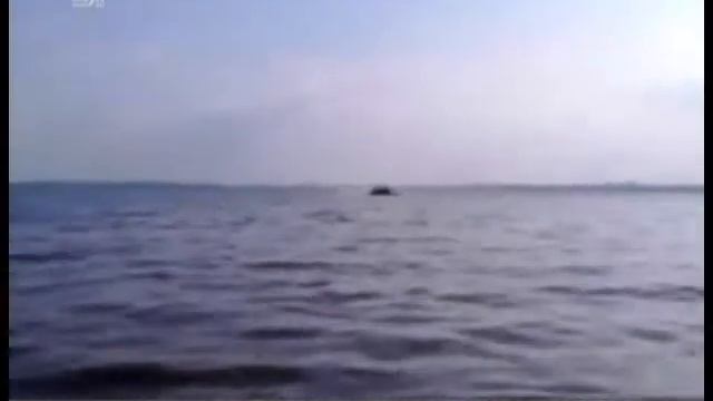 Челябинец на БТР устроил заплыв в городском водоеме ВИДЕО смотреть онлайн