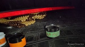 Снимаю задний бампер на Шкода Кодиак 2017 год