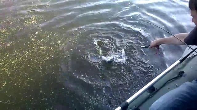 Рыбалка на озерах Самарской области смотреть онлайн