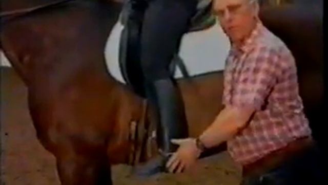 И.М. Кизимов Поводья, посадка, стремена. шенкель смотреть онлайн