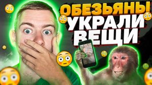 Будни на Бали . Один день из жизни на острове