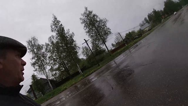 в Велиже смол обл большое дерево упало на провода смотреть онлайн