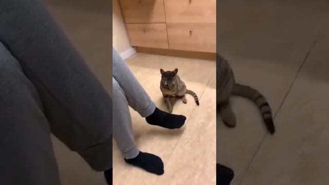 Не удержался!))) смотреть онлайн