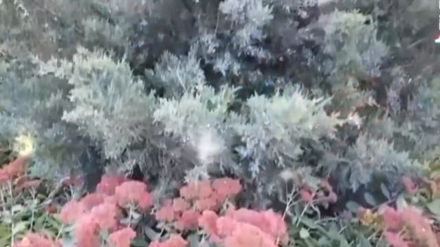 Осенняя красота 2021г. Ростов на дону. смотреть онлайн