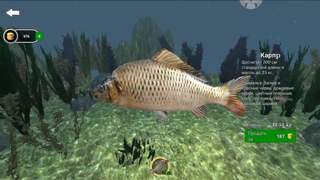 Ultimate Fishing Simulator.ура мой новый рекорд!?