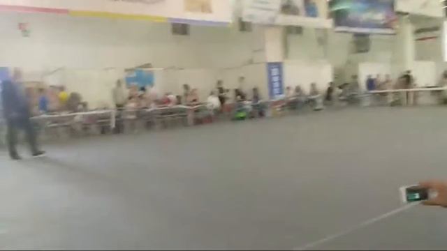 Интернациональная выставка собак "Кубок Дружбы-2018". Часть 2 смотреть онлайн