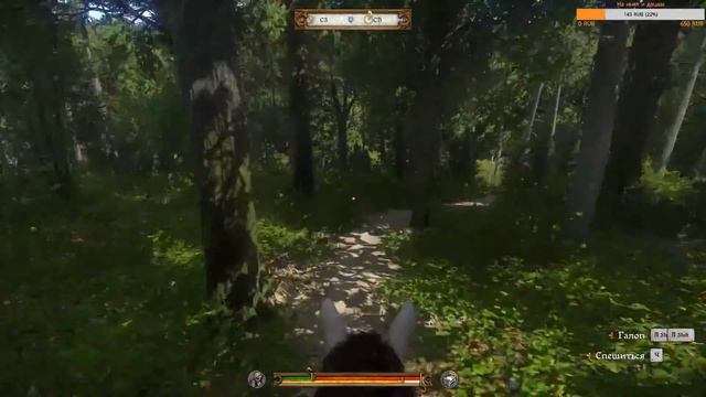 Средневековый щегол в Kingdom Come Deliverance