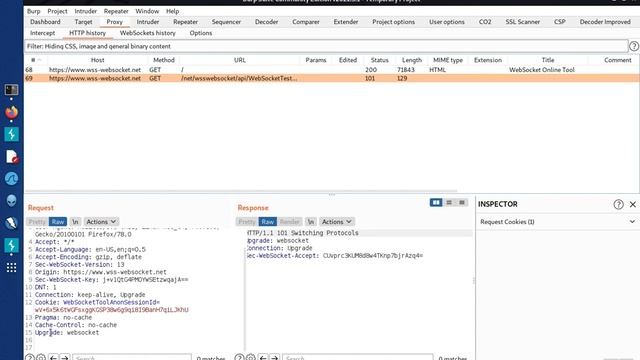 Burp-Suite 2: Inspecting Web Sockets смотреть онлайн