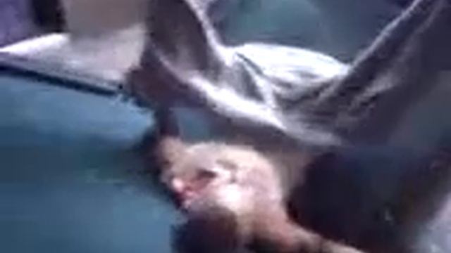 Pool Table Power Slam смотреть онлайн