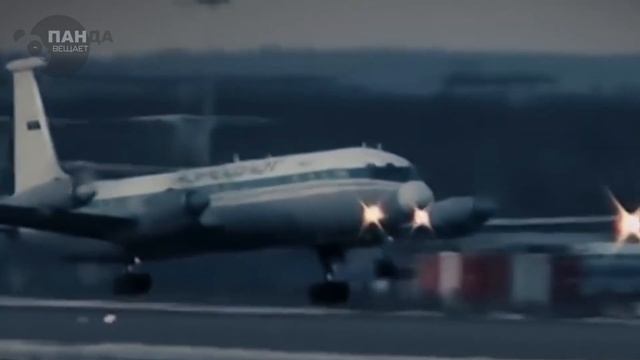 Мужчина оставил собаку в аэропорту, через пол года он узнал, что его пес встречает каждый самолет