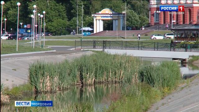 В Саранске чествовали экологов смотреть онлайн