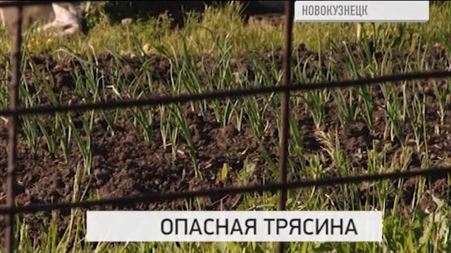 ОПАСНАЯ ТРЯСИНА смотреть онлайн