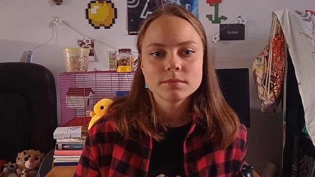 Первое видео | Факты | Поддержка | Начинающий блогер смотреть онлайн