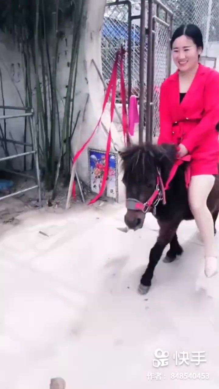 Visit a pony shelter for a ride смотреть онлайн