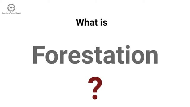 What is Forestation? Write Your Answers And Opinions In The Comment Box. смотреть онлайн