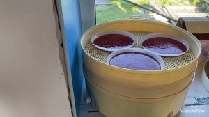 Малиновая пастила в сушилке без спец поддона