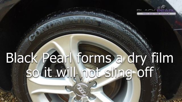 Black Pearl Trim & Tire Armour In 30 Seconds смотреть онлайн
