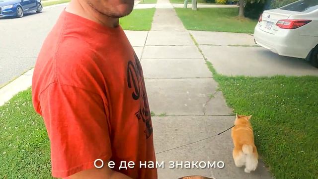 НАЙТИ СОКРОВИЩЕ В ГАРАЖЕ - КАК РАБОТАЮТ ГАРАЖНЫЕ РАСПРОДАЖИ В АМЕРИКЕ смотреть онлайн