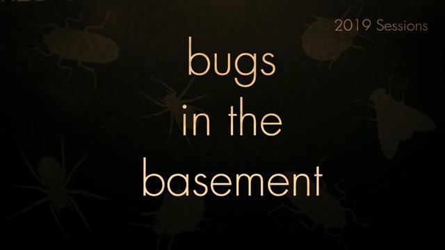 Bugs In The Basement- Loxosceles Reclusa aka The Brown Recluse Spider смотреть онлайн