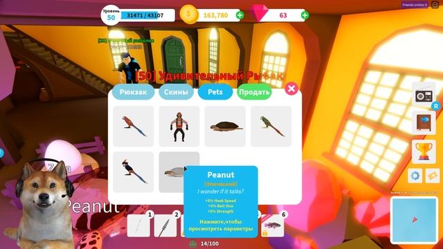 Магазин Петов в РОБЛОКС Симулятор РЫБАЛКИ | Коды на рыбалку Июнь 2020 смотреть онлайн