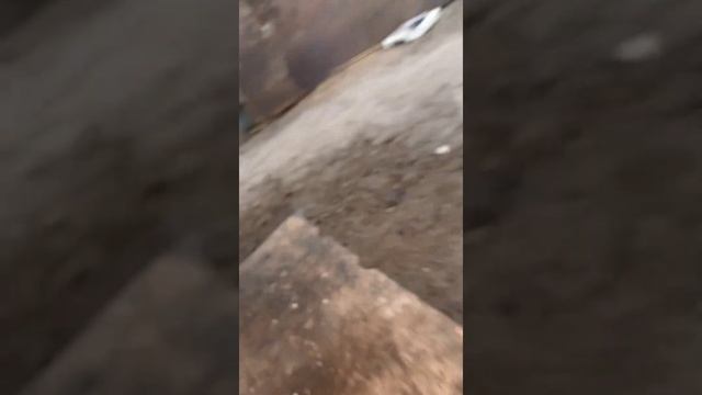 Установка Вискомуфты на Маз вместо гидромуфты смотреть онлайн