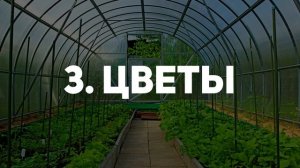 ТОП 5 ПРИБЫЛЬНЫХ БИЗНЕС ИДЕЙ ВЫРАЩИВАНИЯ В ТЕПЛИЦЕ / ТЕПЛИЧНЫЙ БИЗНЕС 2019