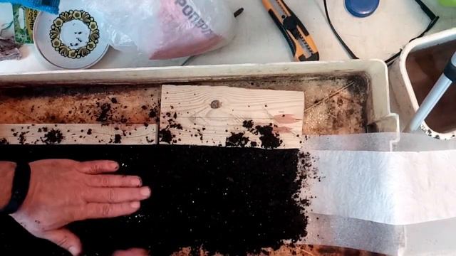 из семян до товарного лука за один сезон смотреть онлайн