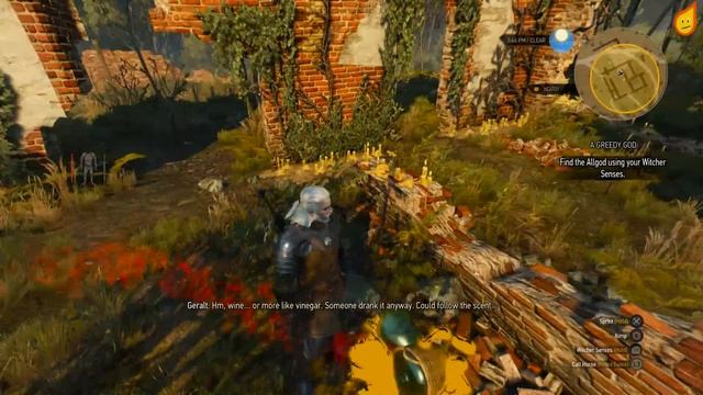 The Witcher 3: A Greedy God - Quest Walkthrough смотреть онлайн