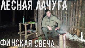 ЛЕСНОЙ ДОМИК | ГОТОВЛЮ НА ФИНСКОЙ СВЕЧЕ | ПРИШЛА ВЕСНА..
