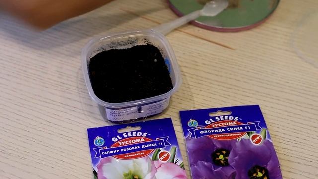 ЭУСТОМА как легко вырастить из семян! Посев . смотреть онлайн