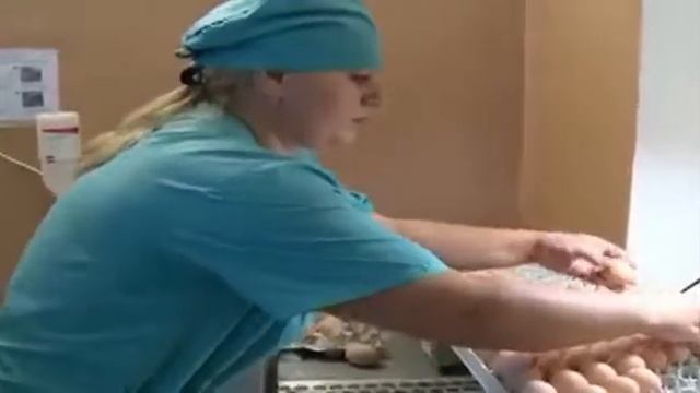 Упаковщицы смотреть онлайн