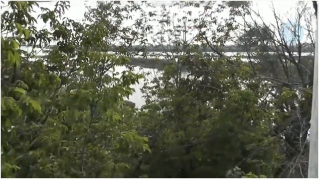 Здравница. Воспоминания будут жить вечно (2017) Samara смотреть онлайн