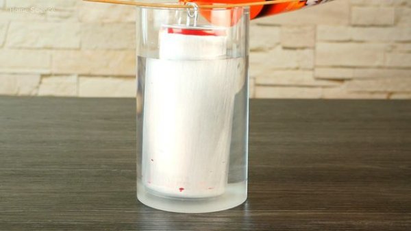 5 Amazing and Easy Science Experiments you can do at home