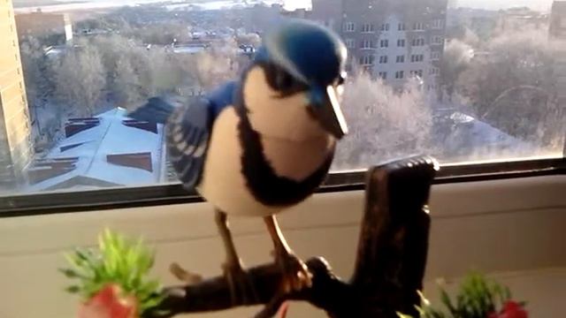 Умная птица смотреть онлайн