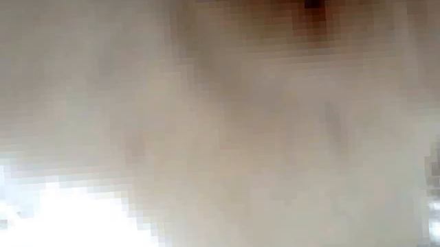 Котенок Экзот играется с камерой (Exotic kitten playing with phone camera) смотреть онлайн