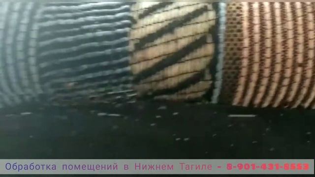 Любимые места обитания клопов смотреть онлайн