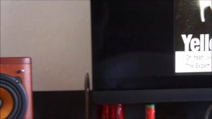 JVC SP EXA1 Woodcone