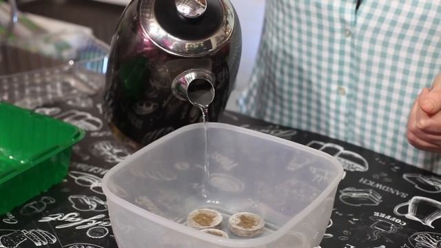 Хитрости посева эустомы смотреть онлайн