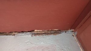 Прицеп ПХ-05. для мотоблока МТЗ.