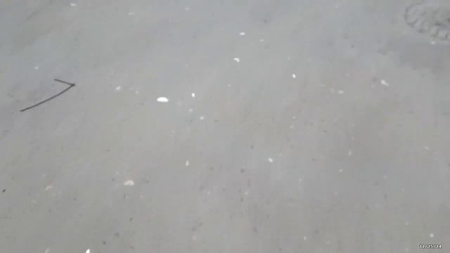 Адресное кормление блоховозов смотреть онлайн