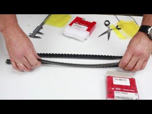 Цепь ГРМ 243212E00 VS 243212E010