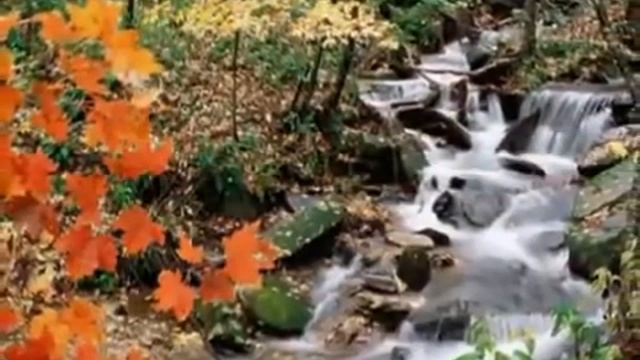 Ф.Шопен Осень смотреть онлайн