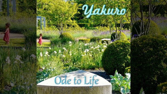 Yakuro - Ode to Life смотреть онлайн