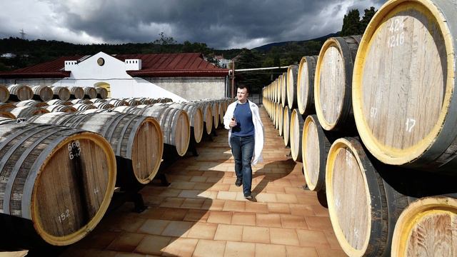 §38 "Европейский Юг: освоение территории и хозяйство", География 9 класс, Полярная звезда смотреть онлайн