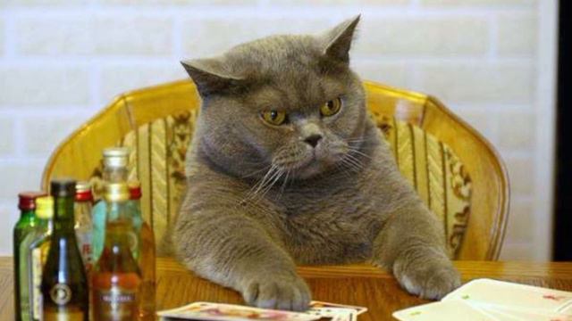 Подкаст: Корпоративная культура и этика в игровых студиях - Гаррук и Zan смотреть онлайн