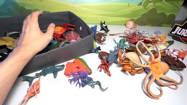 Sea Animals - Octopus, Crab, Sea Turtle, Sailfish, Whale Shark, Wobbegong, Hermit Crab, Squid смотреть онлайн