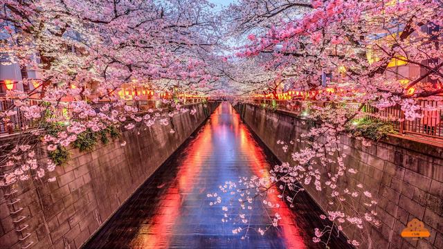 Japanese Bamboo Flute Music For Healing, Soothing, Meditation and Relaxing смотреть онлайн